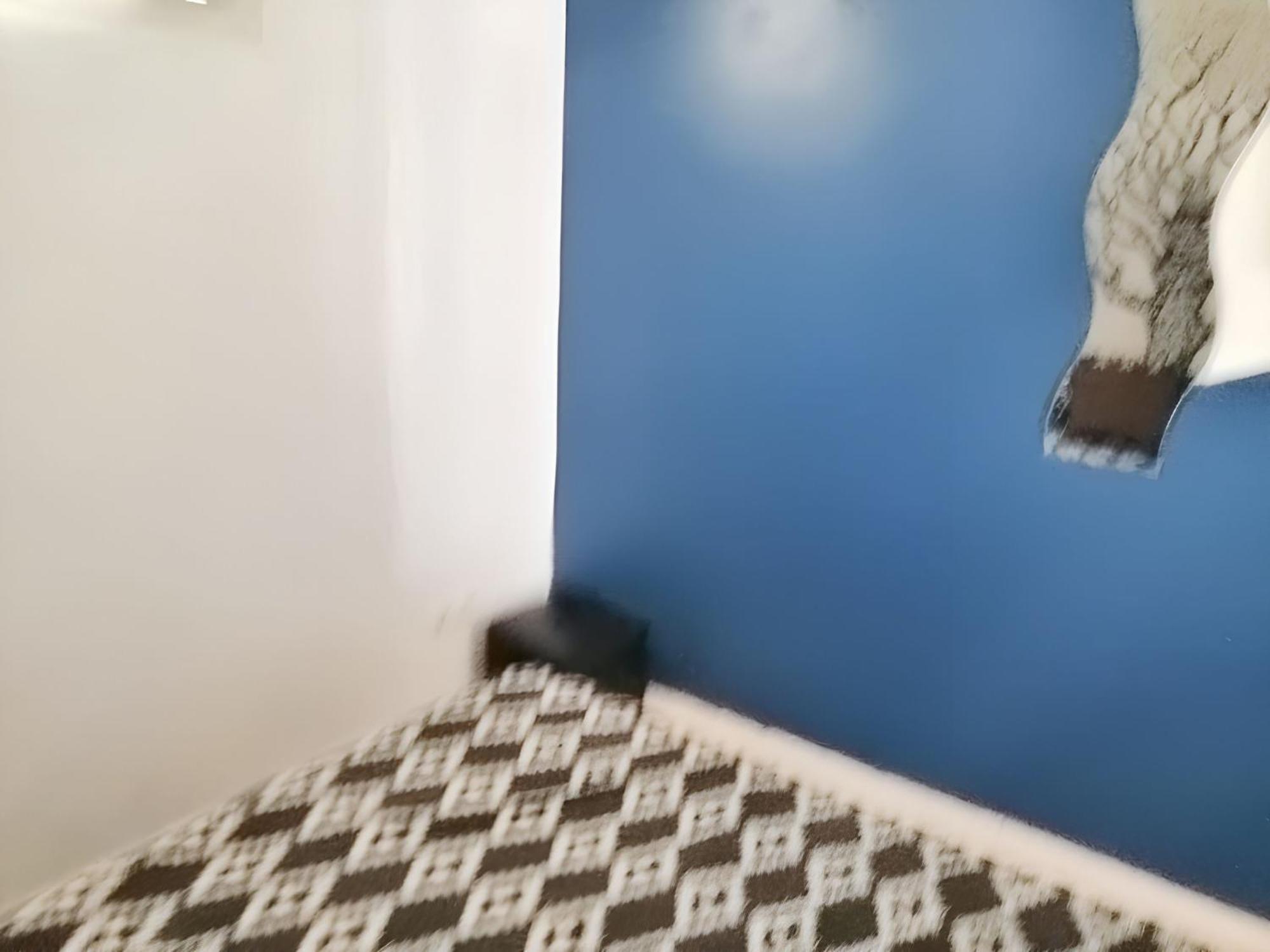 Apartment Charming In 40 M² Ideal For A Couple Lisbon